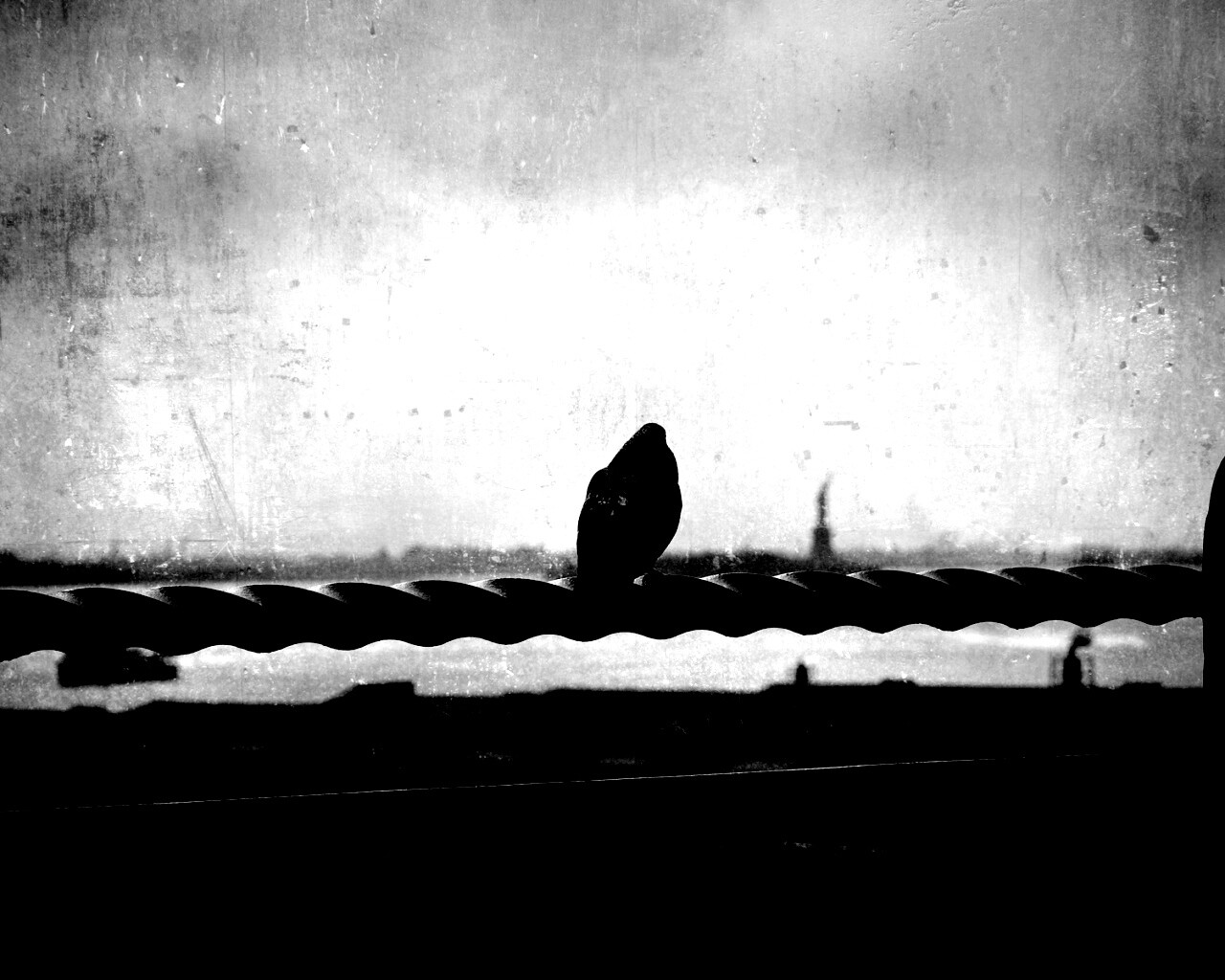 Голубь в Нью-Йоркских доках обои