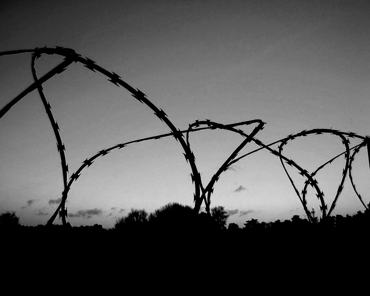 Колючая проволка обои