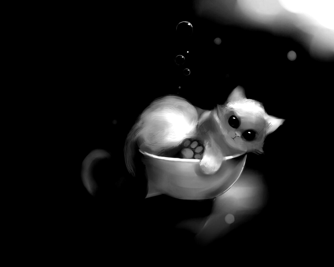 Котёнок в миске обои