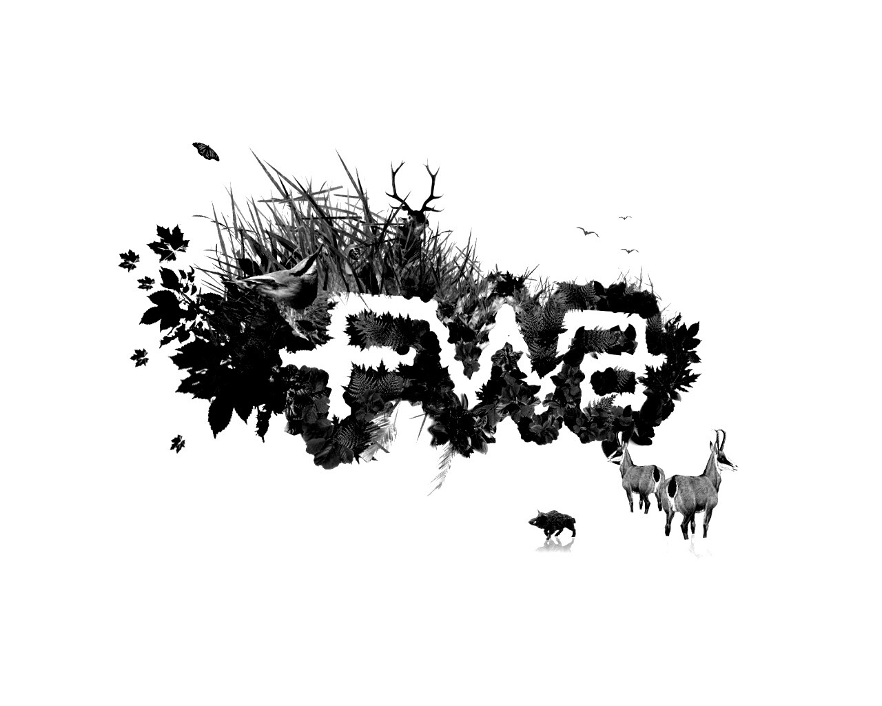FWA обои