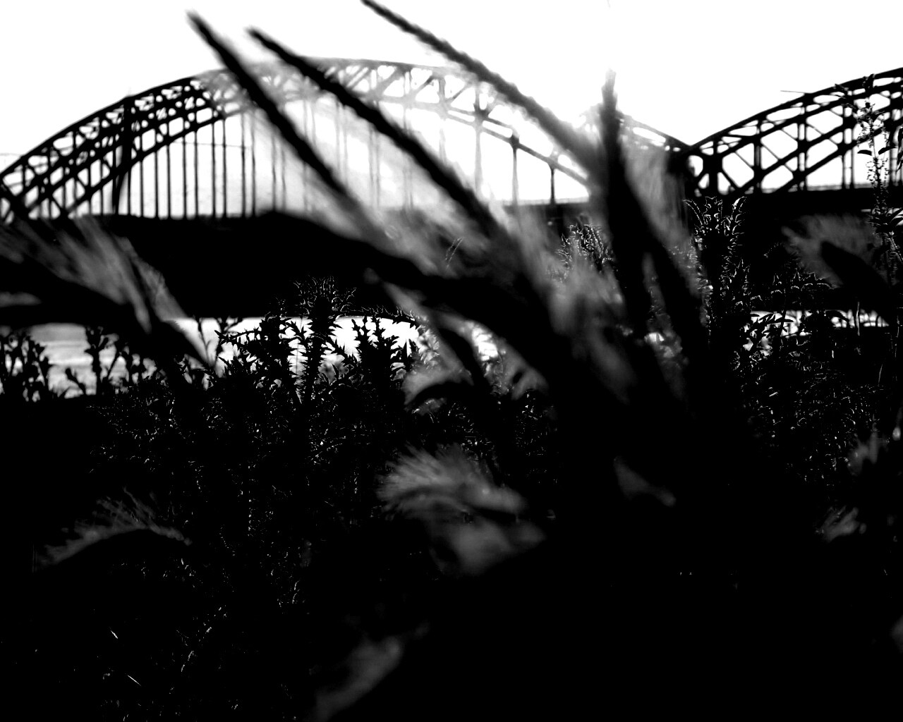 Железнодорожный мост обои