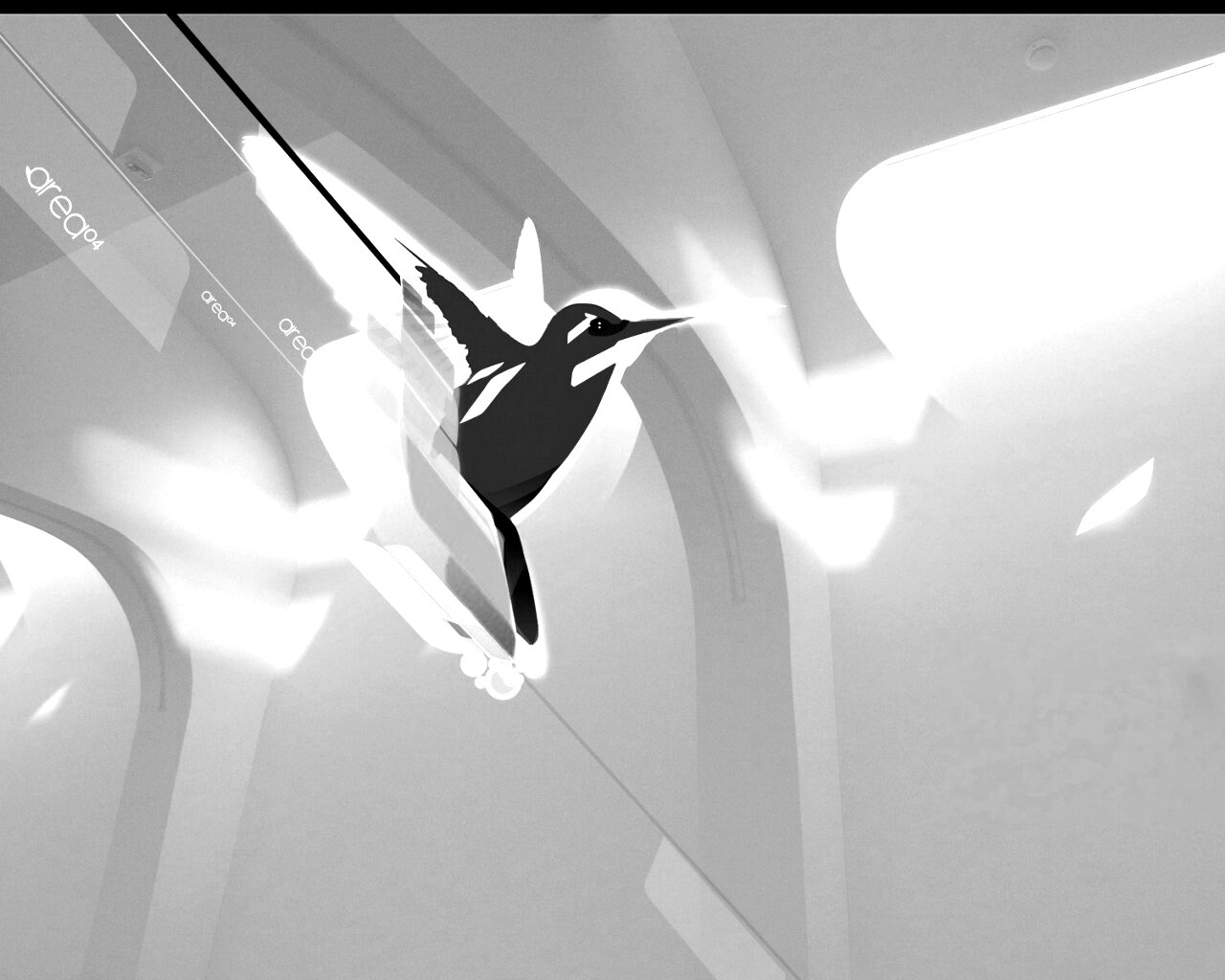 Логотип-колибри обои