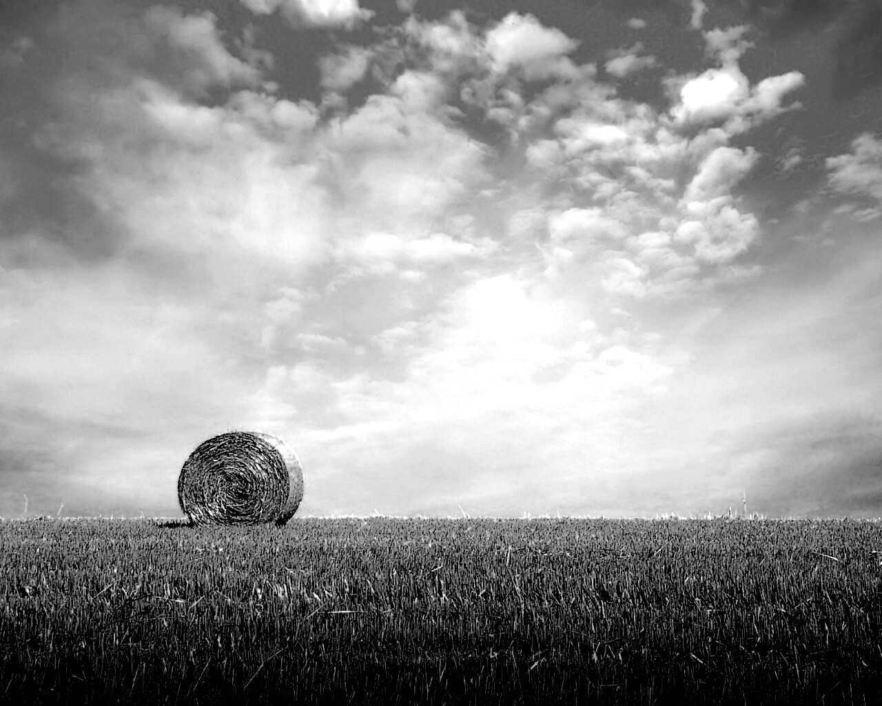 СОломеннынй рулон обои