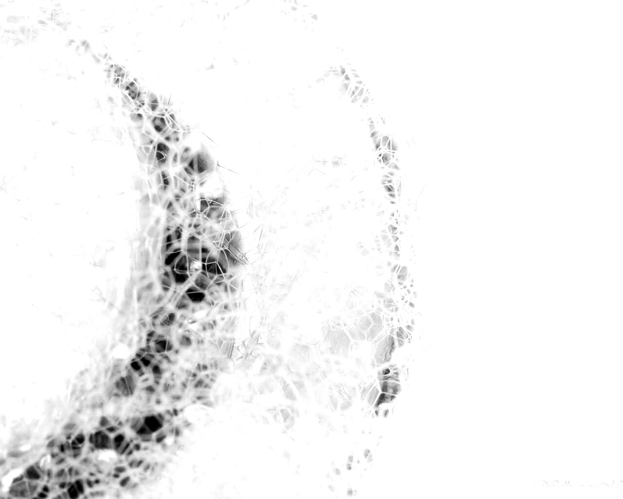 Мыльная пена обои