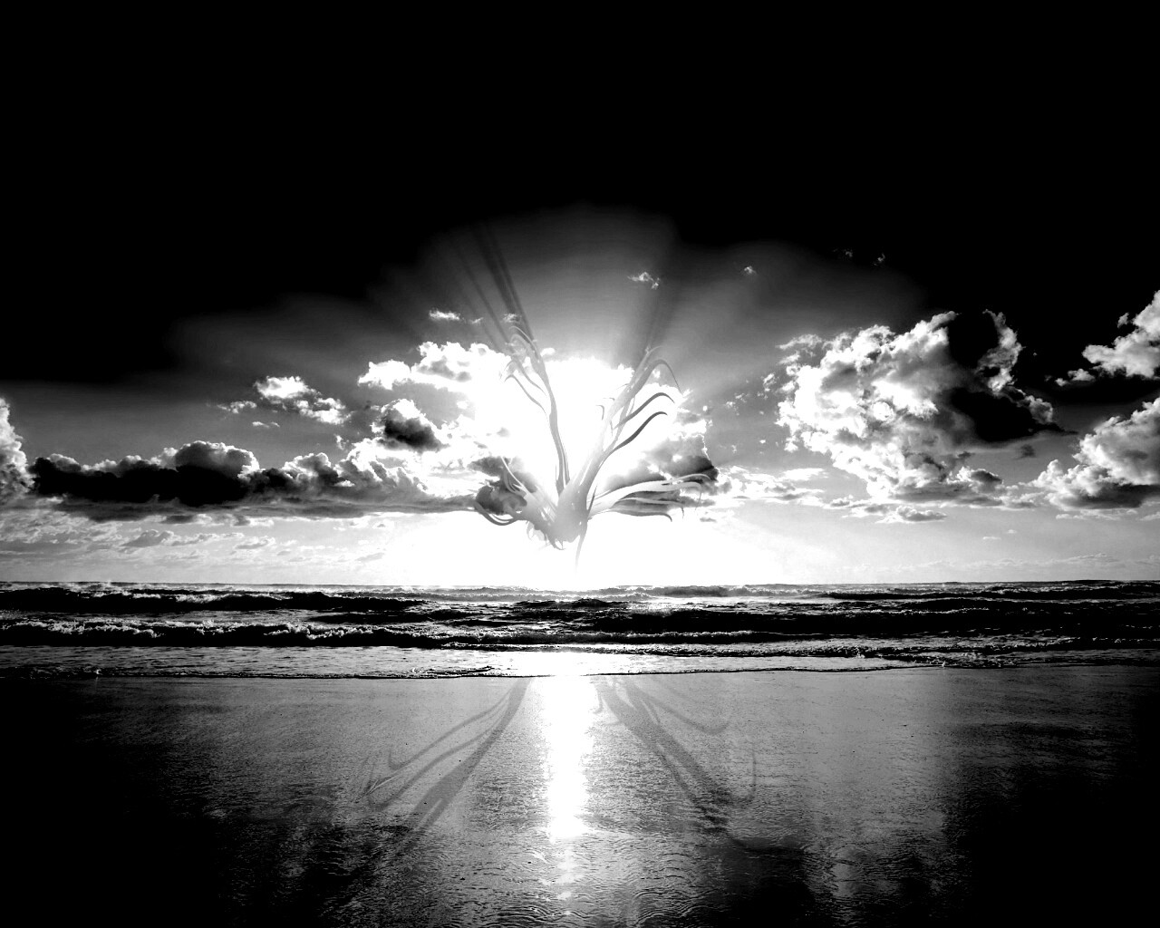 Абстрактные перья на фоне заката обои