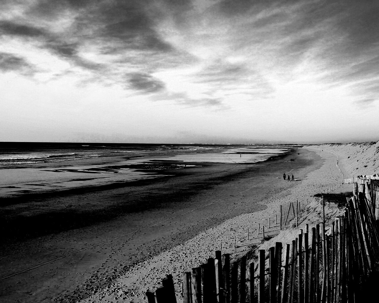 Обмелевший берег обои