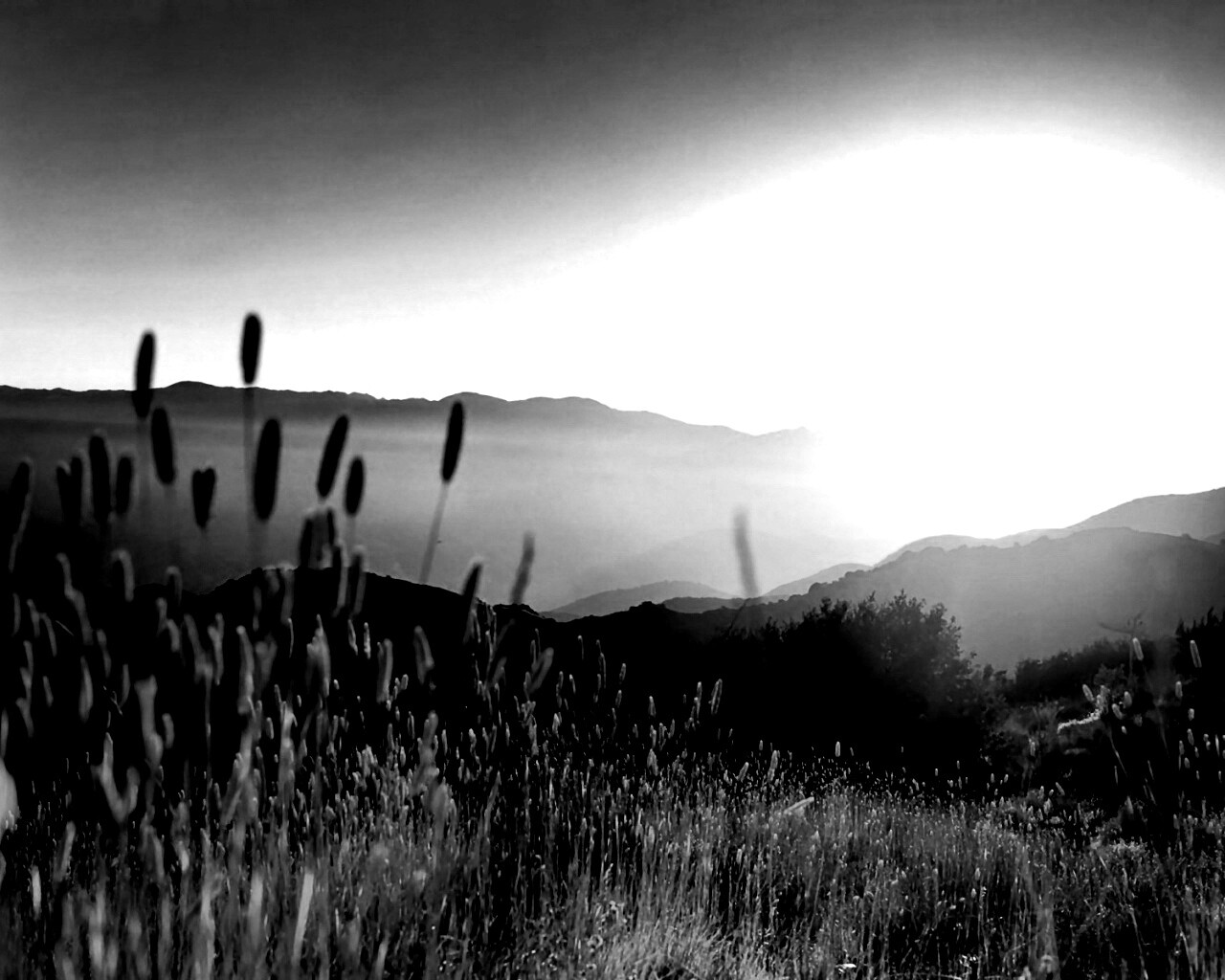 Восход над холмами обои