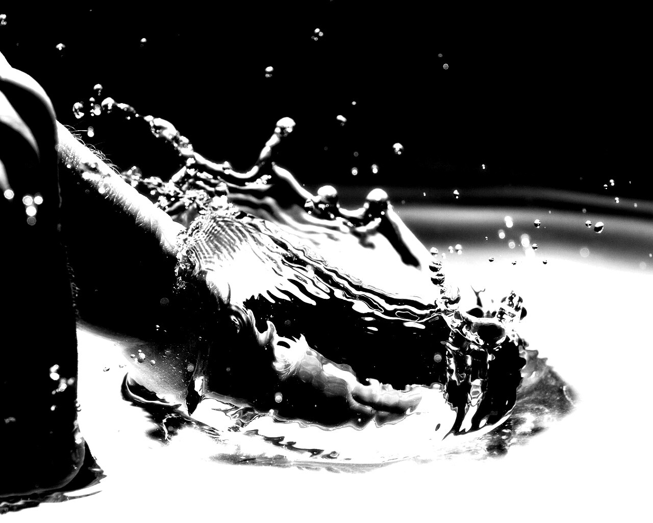 Палец в воде обои