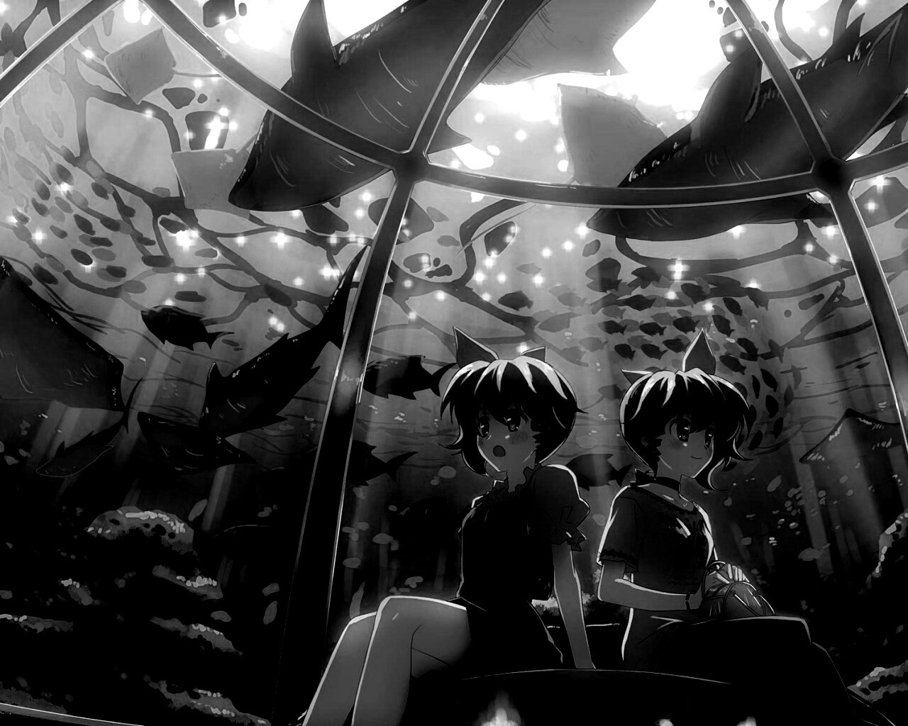 В океанариуме обои