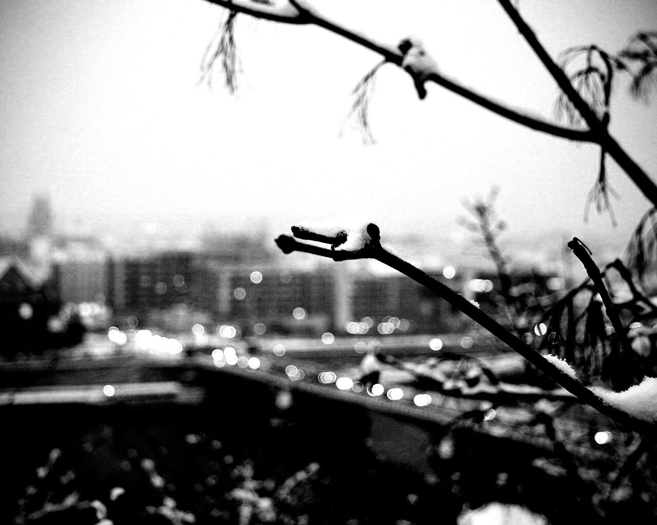 Зима в городе обои