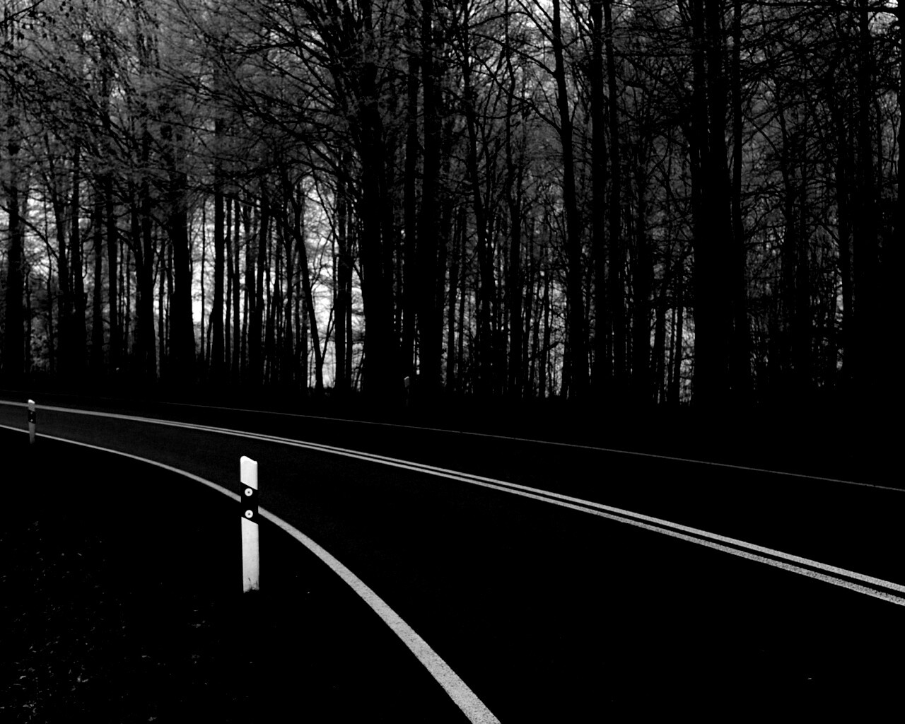 Дорога в осеннем лесу обои