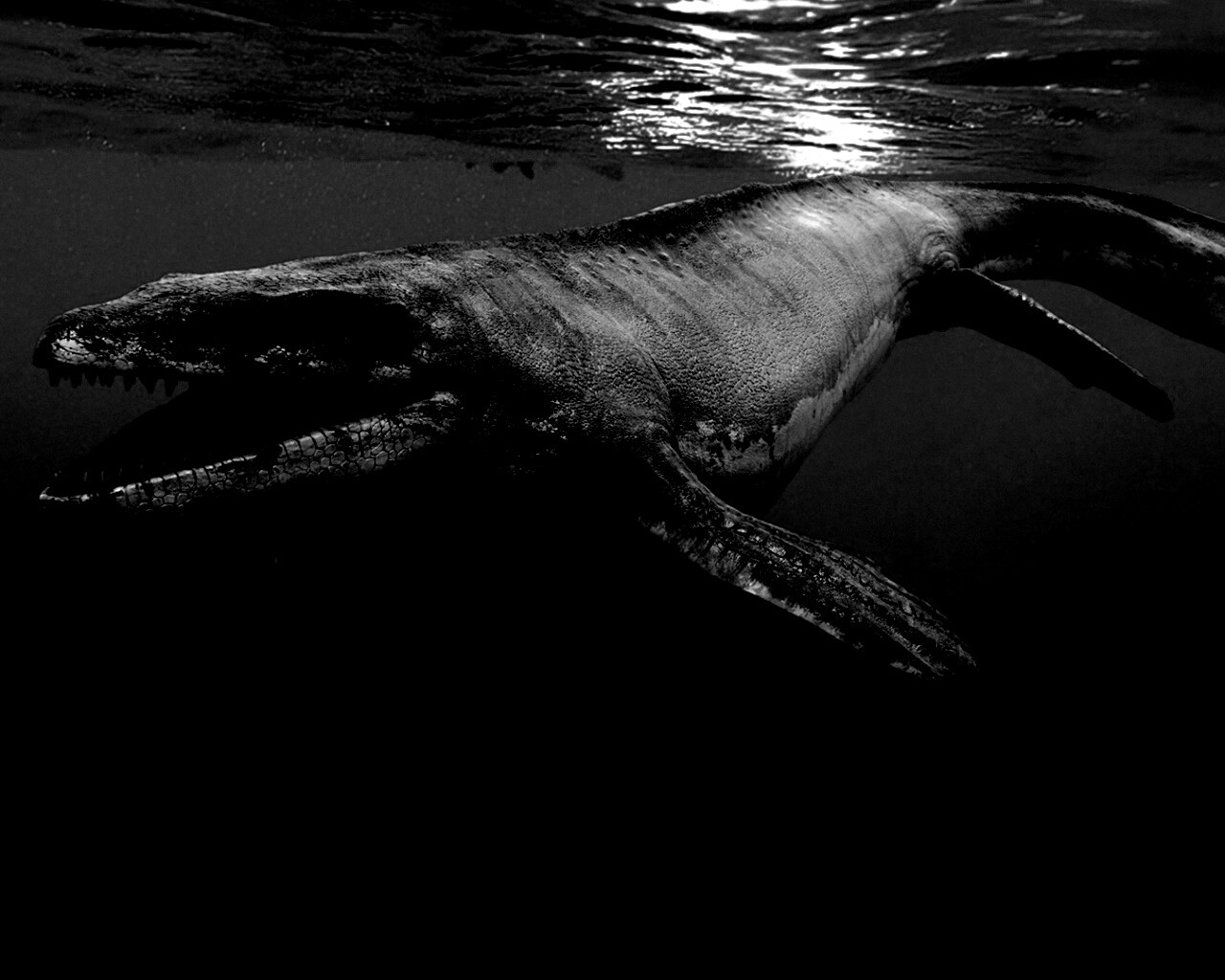 Морской динозавр обои