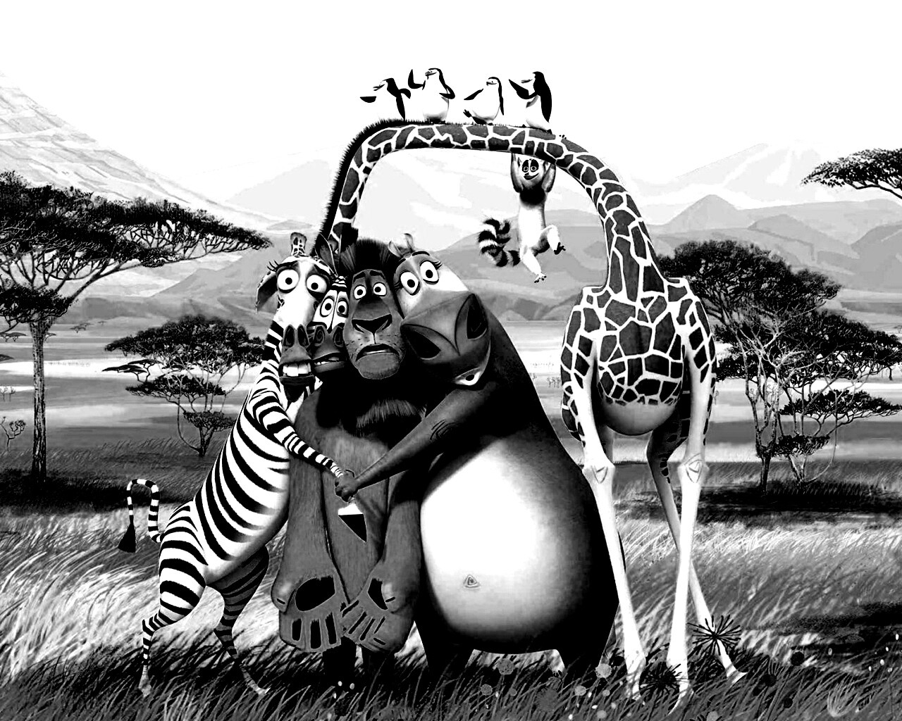 Герои мультфильма Мадагаскар обои