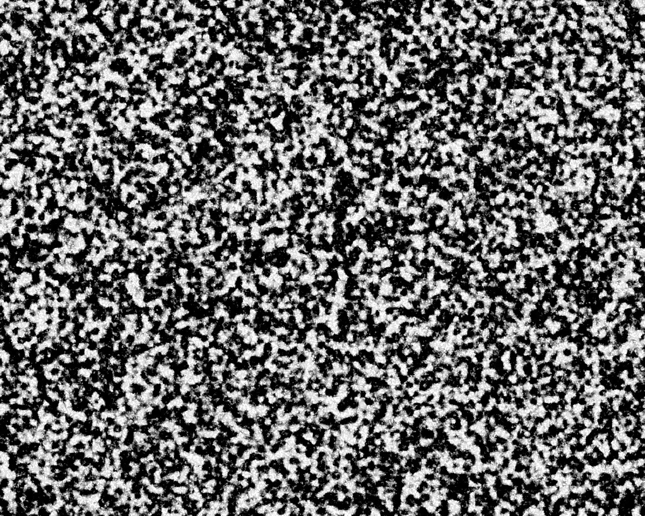 Черно-белый ковролин обои