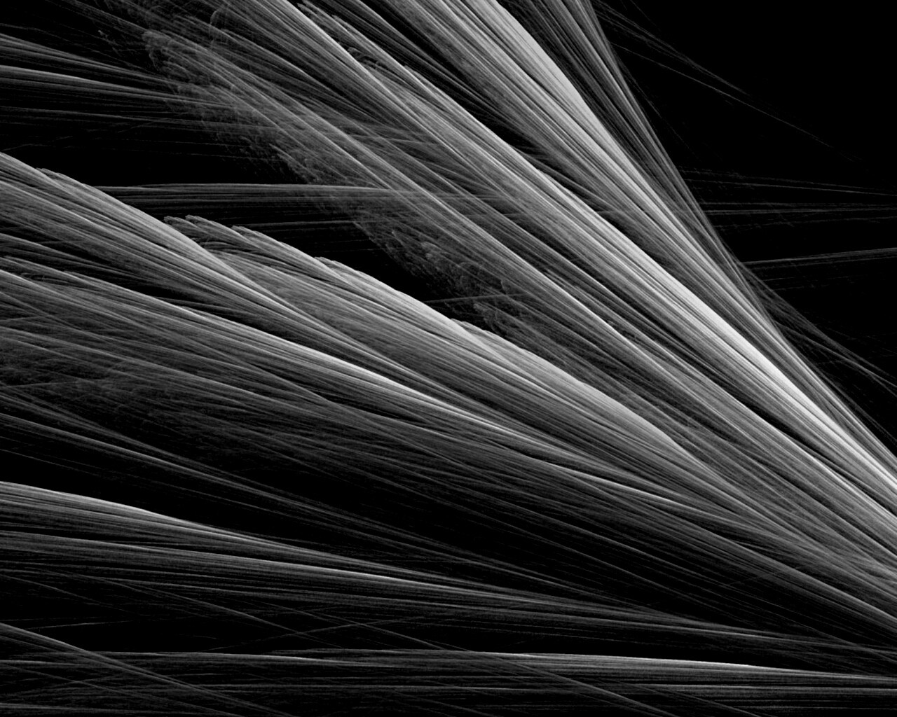 Прозрачные зеленоватые крылья обои