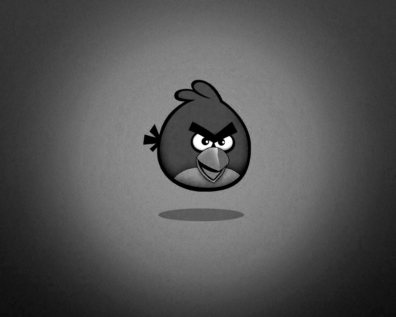 Красная птица из Angry Birds обои