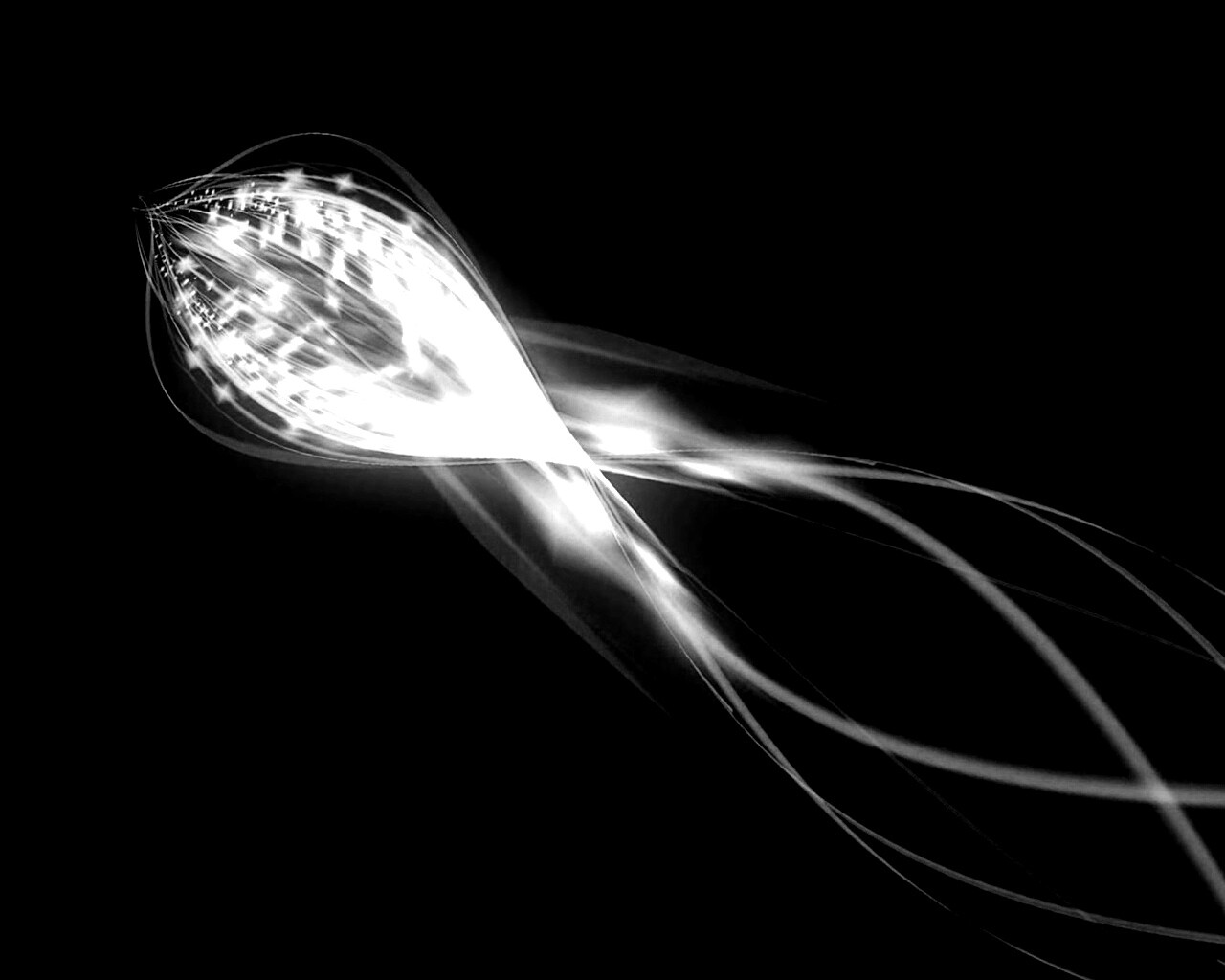 Сгусток красных линий обои