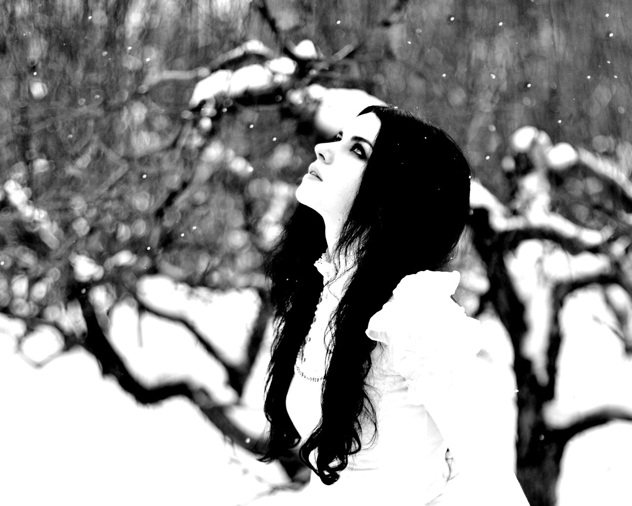 Белоснежная леди обои