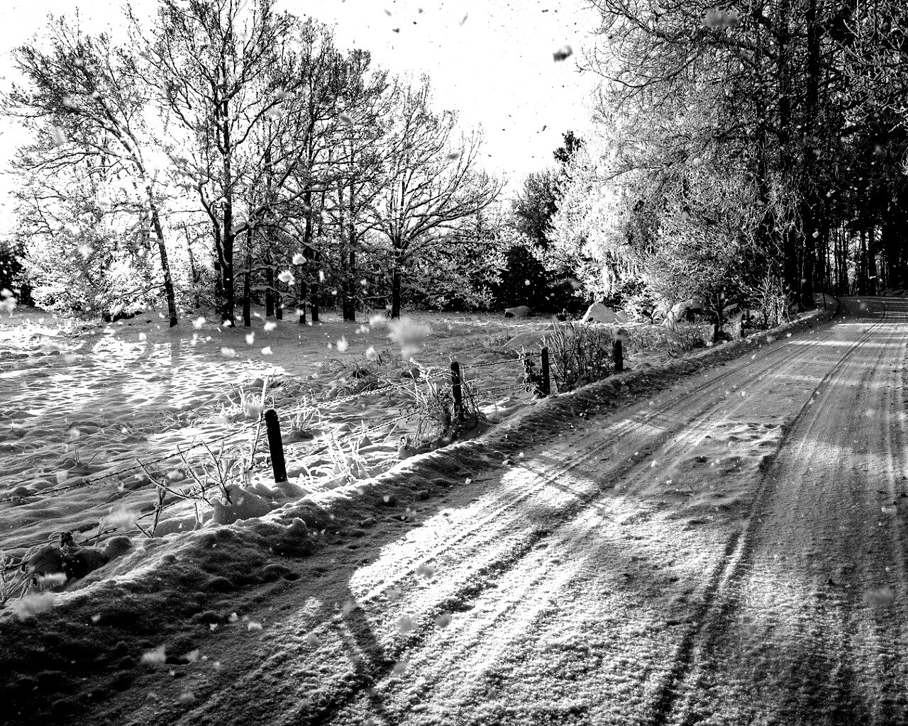 Снежная дорога залитая солнцем обои