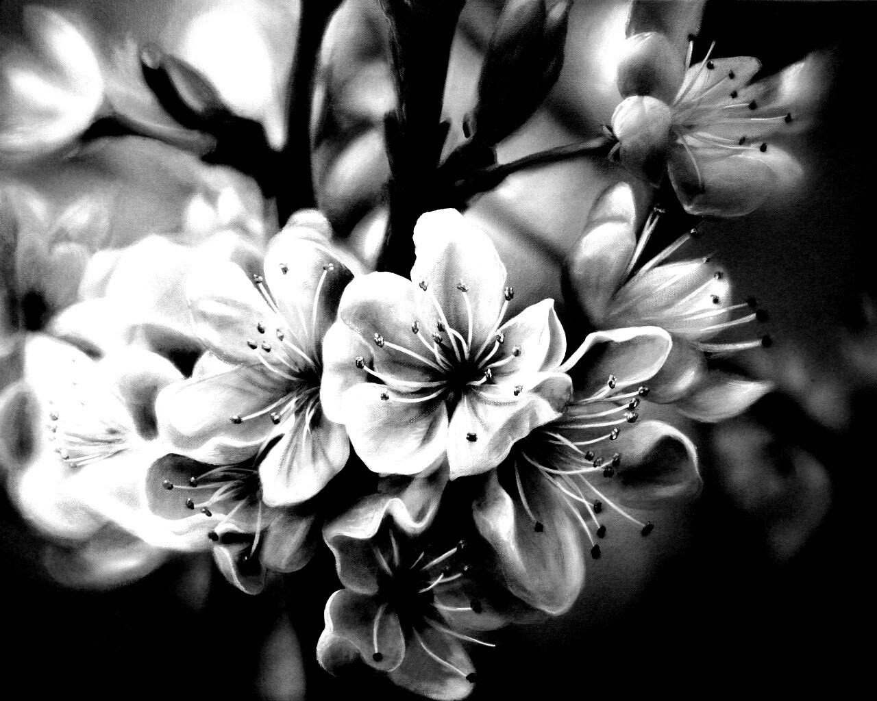 Яблоня в цвету картина обои