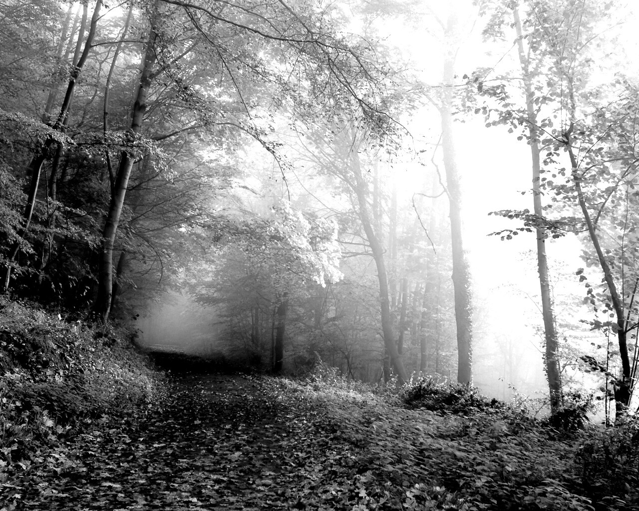 Осенний мистический пейзаж обои