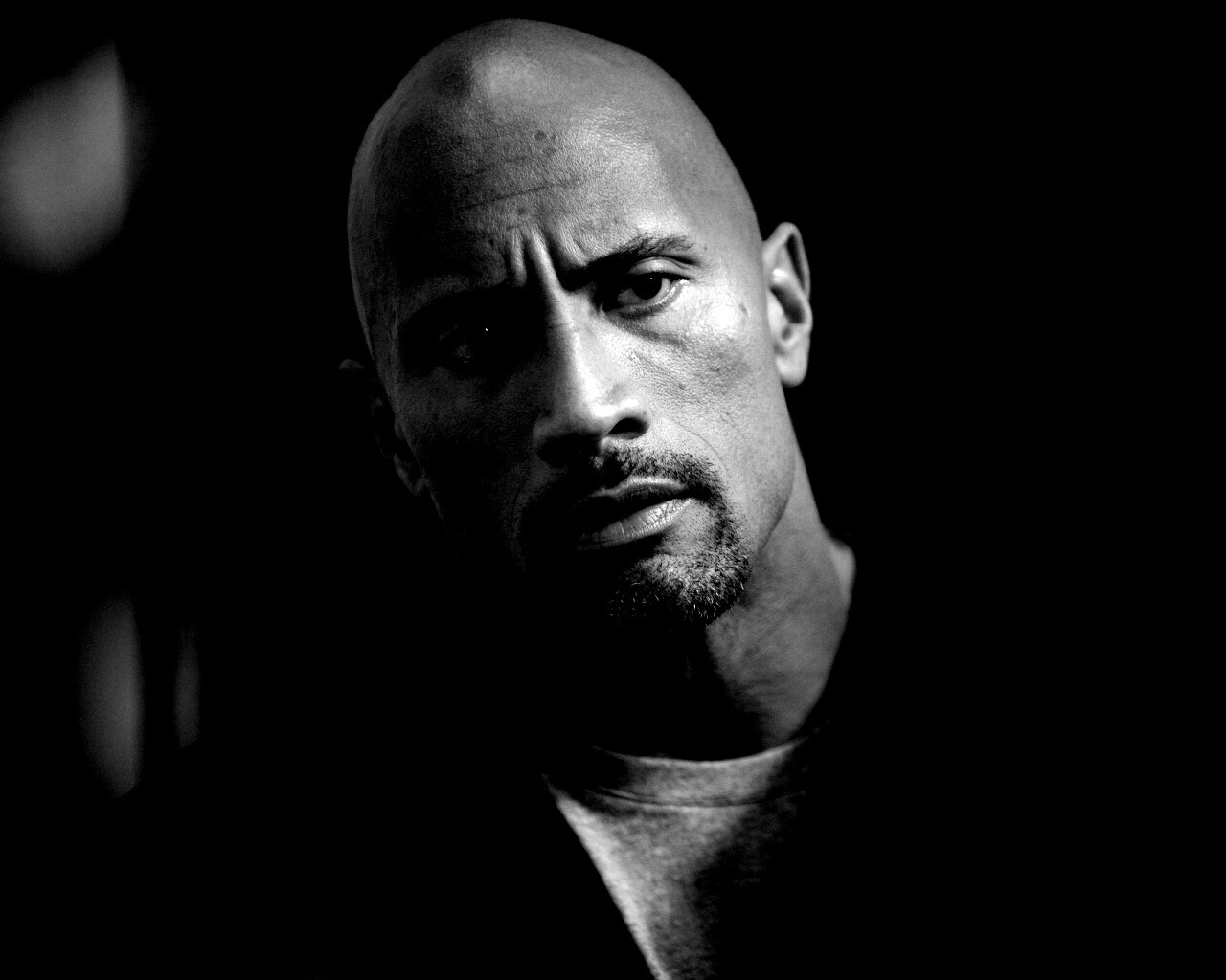 Dwayne johnson, Actor, Bald, Hair, Celebrity обои