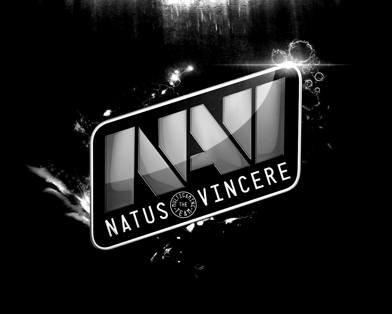 Natus Vincere обои