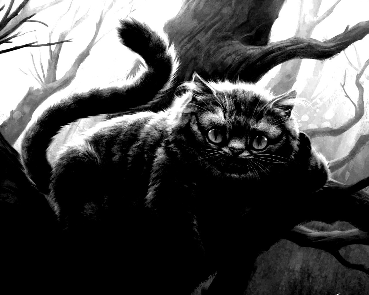 Чеширский кот обои