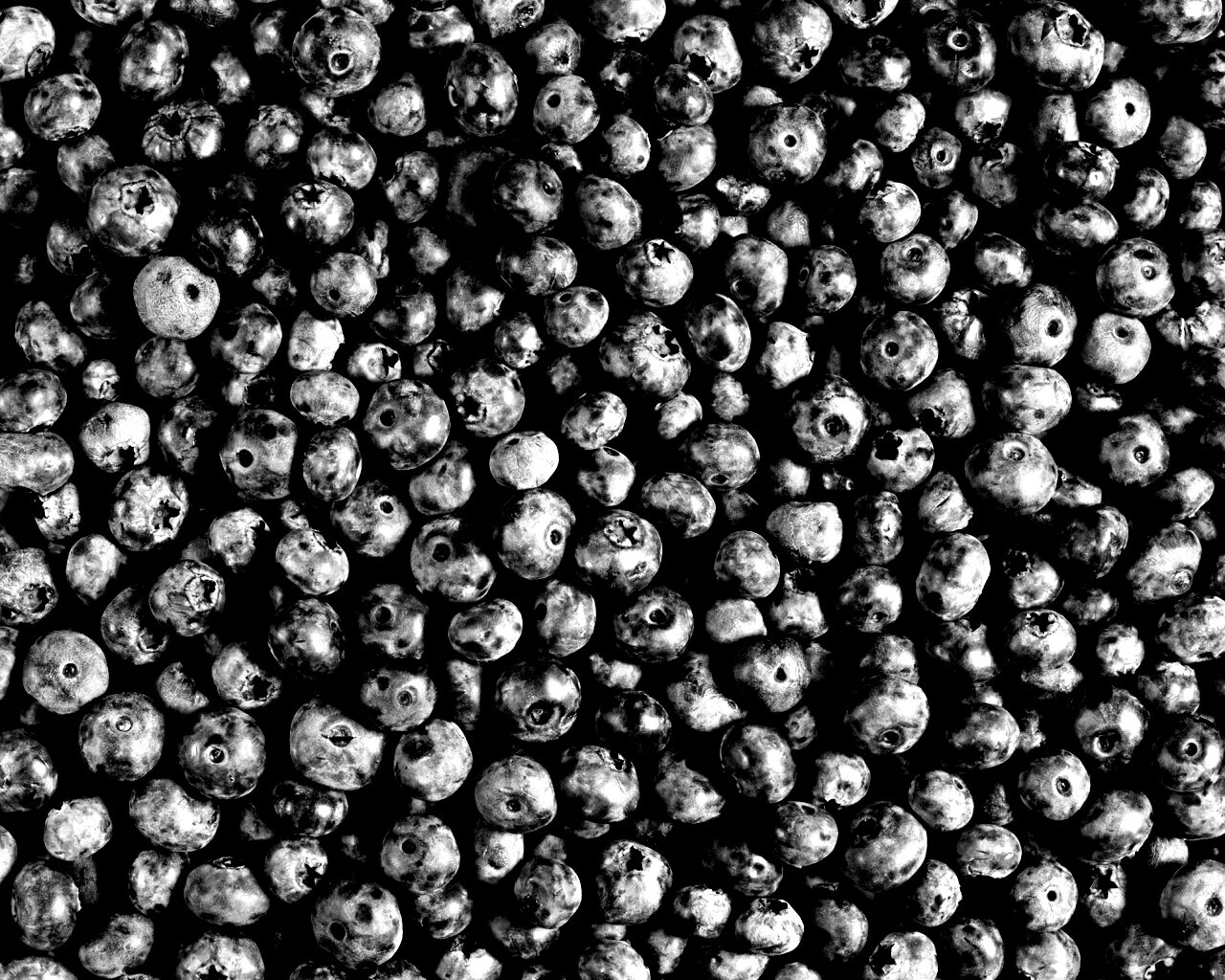 Черника обои