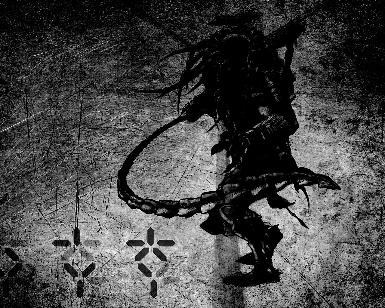 Хищник обои