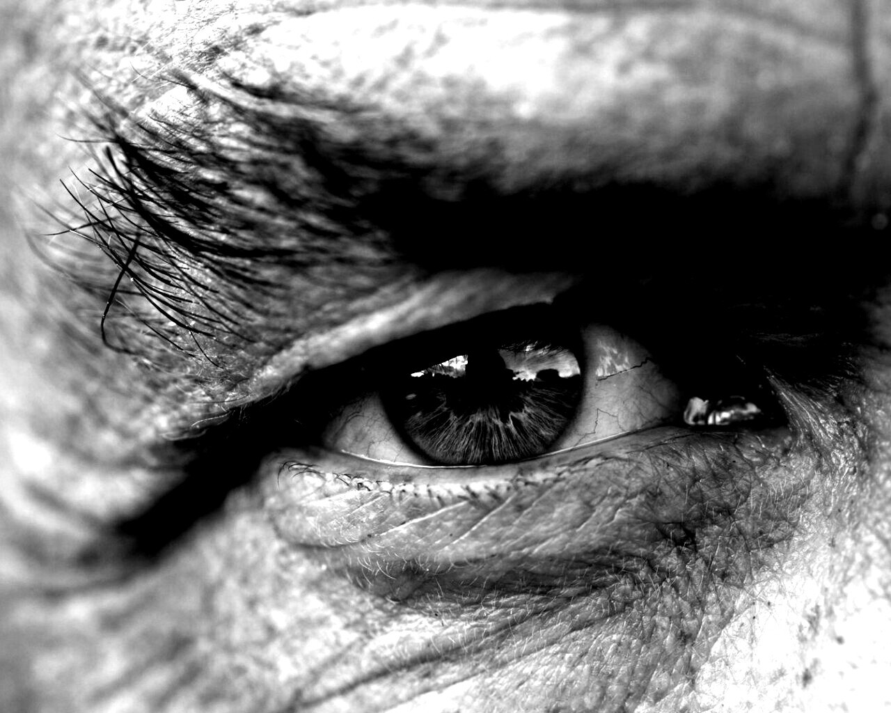 Глаз пожилого человека обои