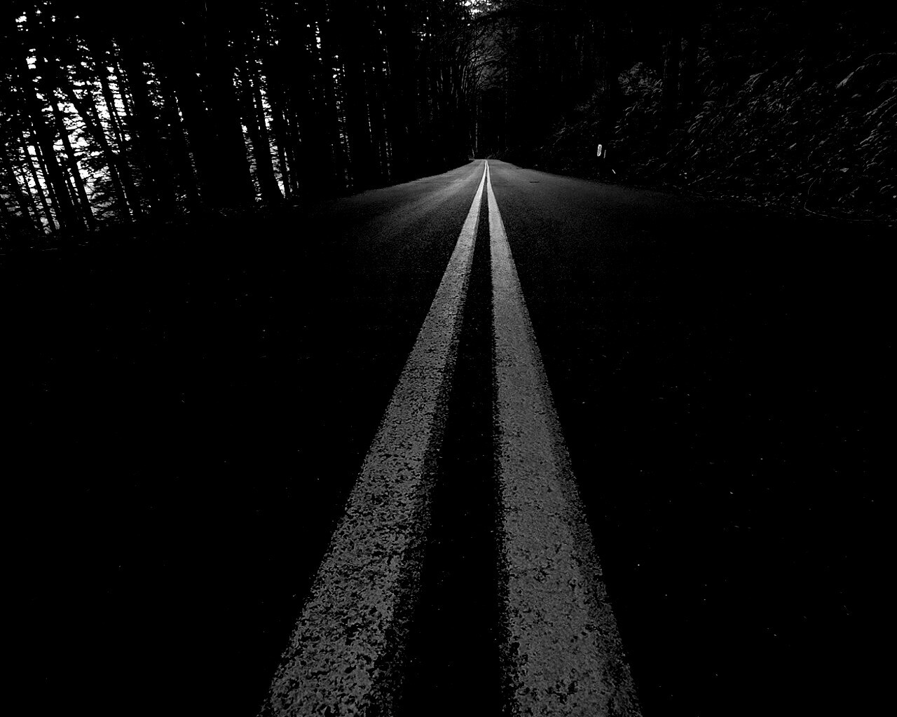 Дорога в лесу обои