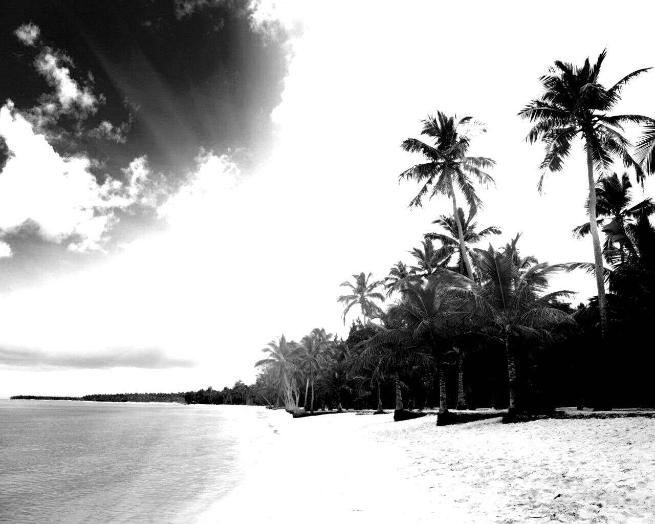 Тропическое побережье обои