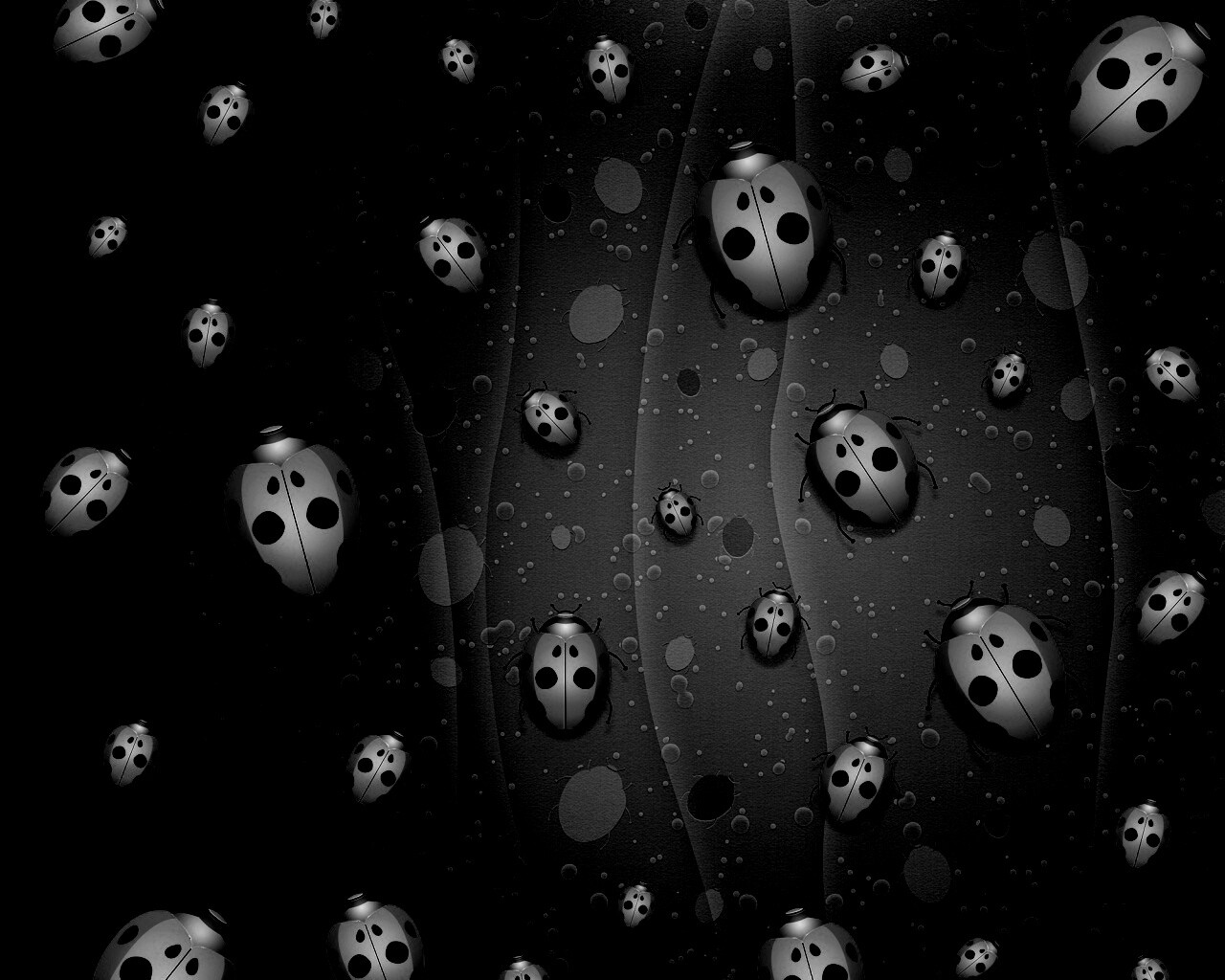 Божьи коровки обои