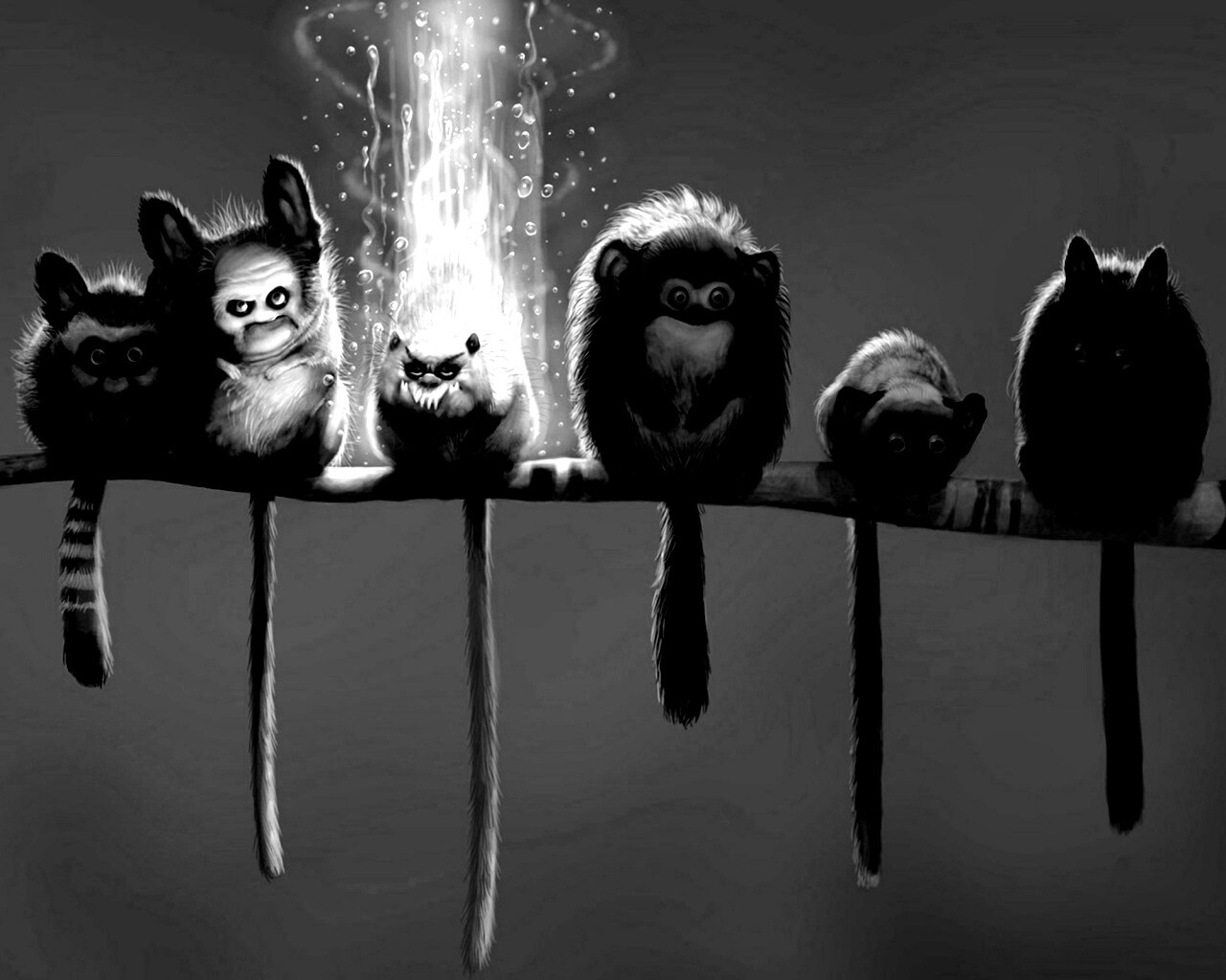 Существа на ветке обои