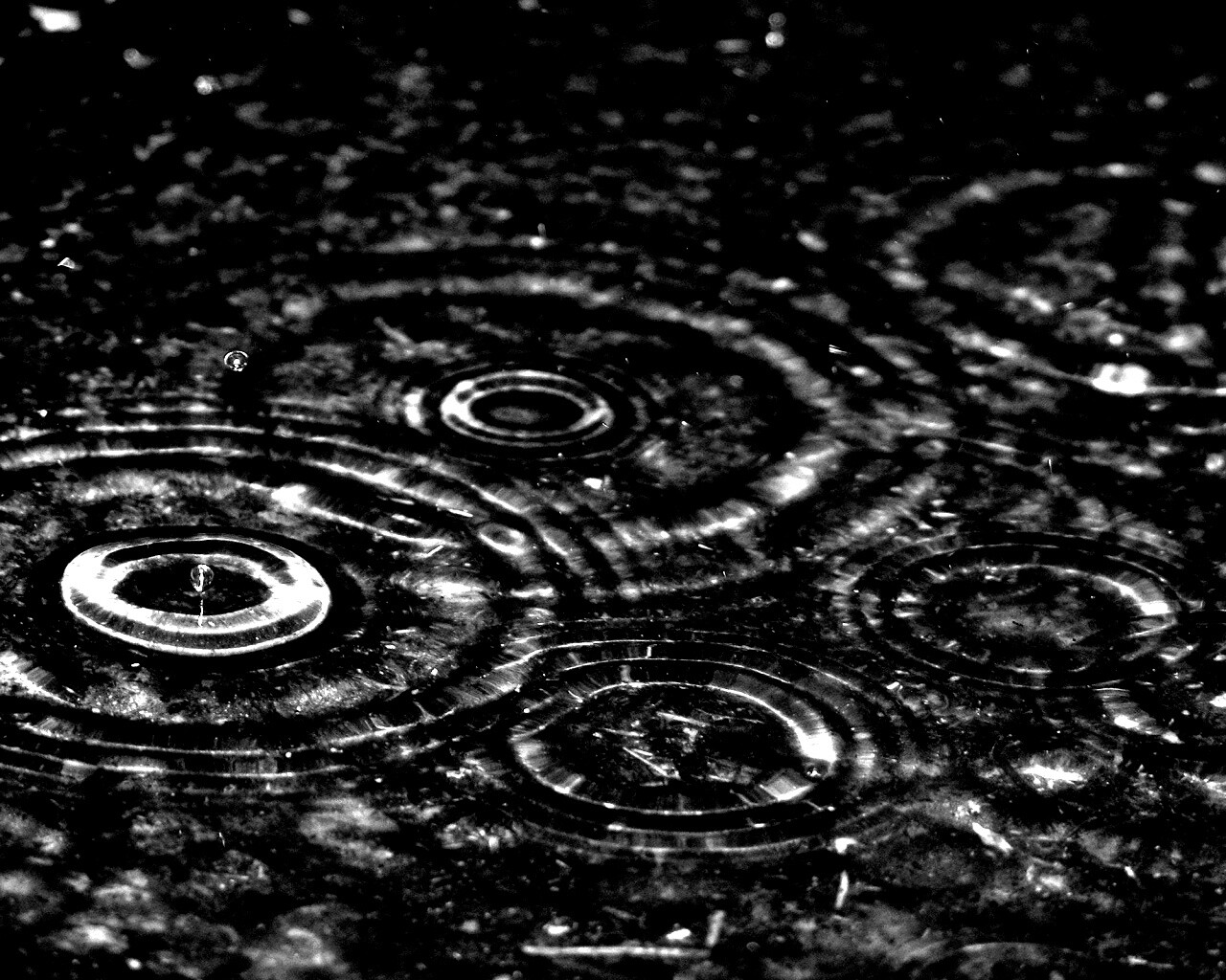 Круги на воде обои