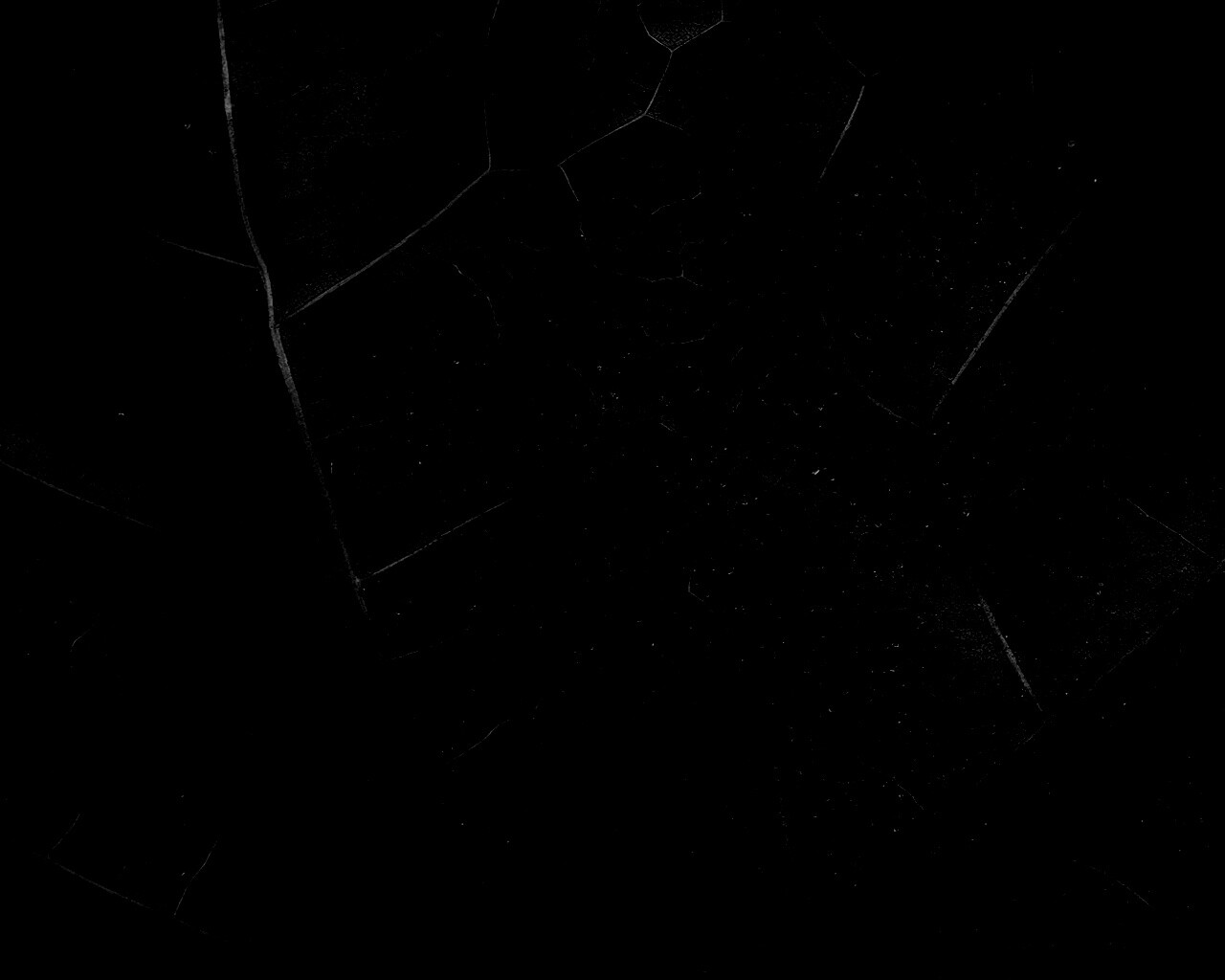 Макро зеленый лист обои