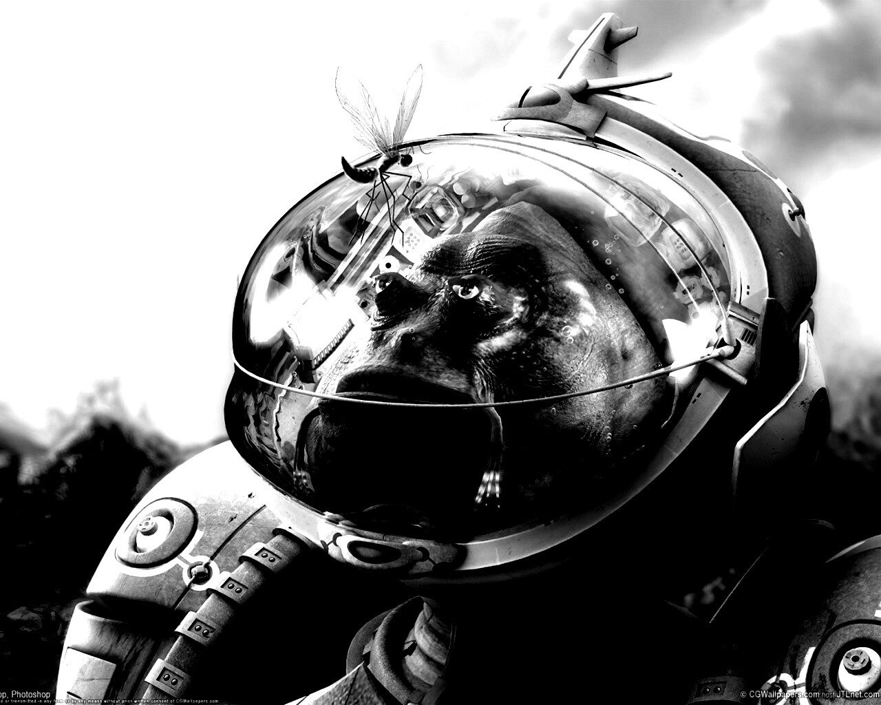 Инопланетянин и стрекоза обои