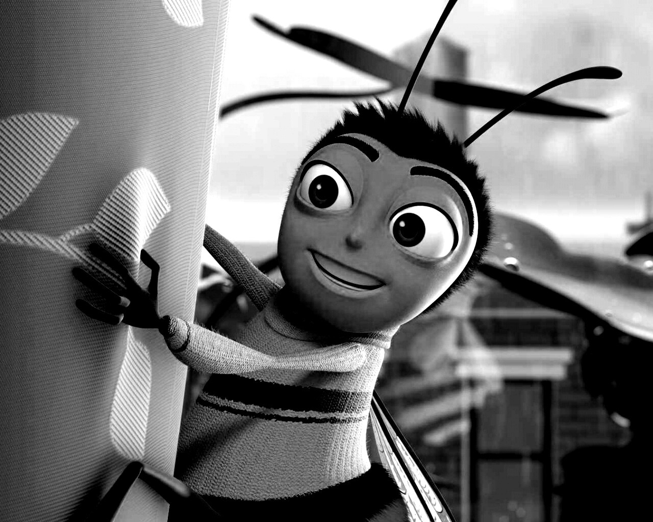 Бимуви обои