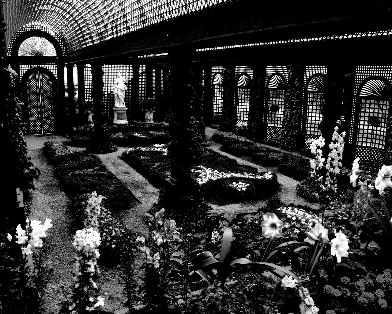 Оранжерея обои