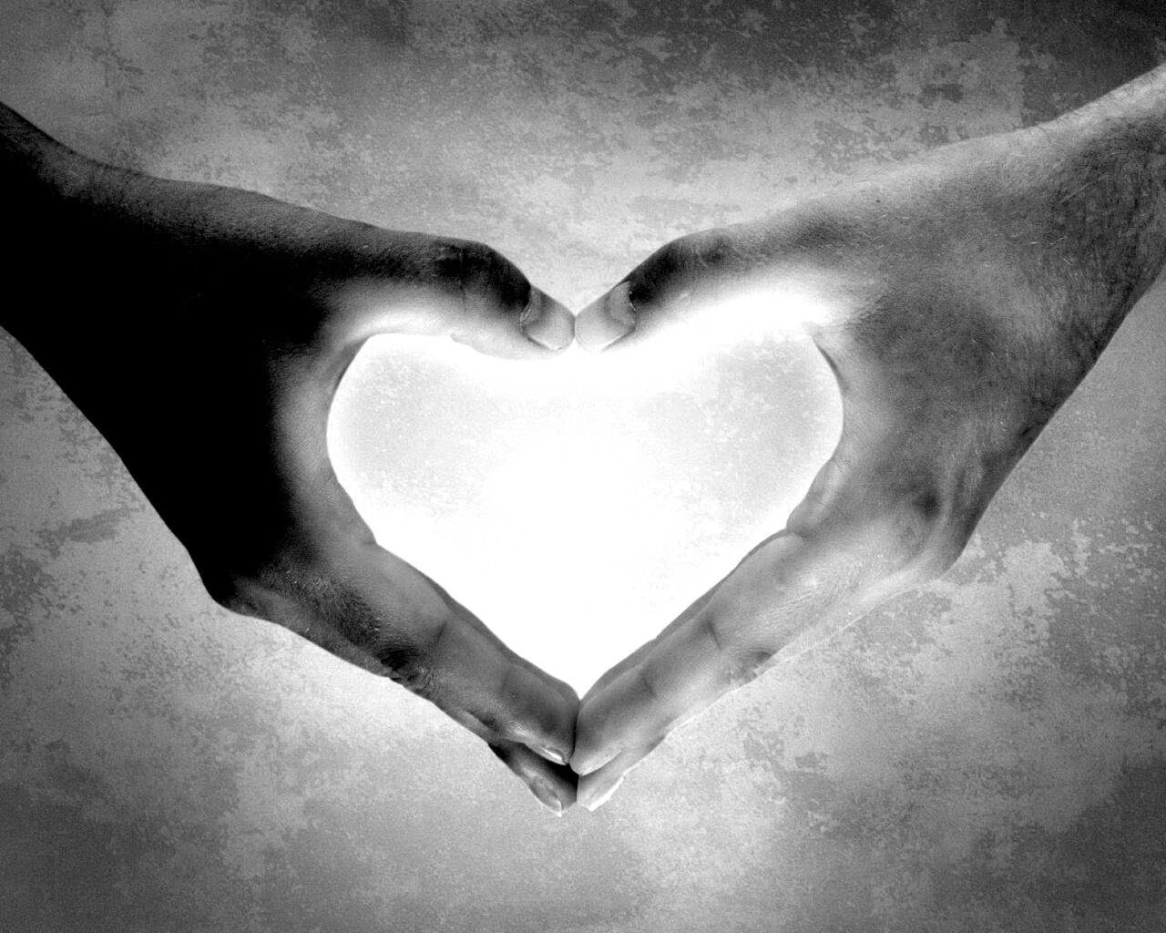 Сердце из сложенных рук обои