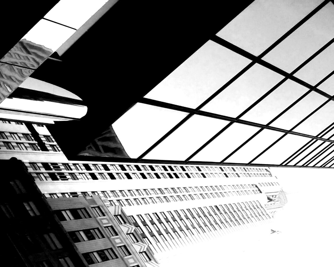 Взгляд вверх обои