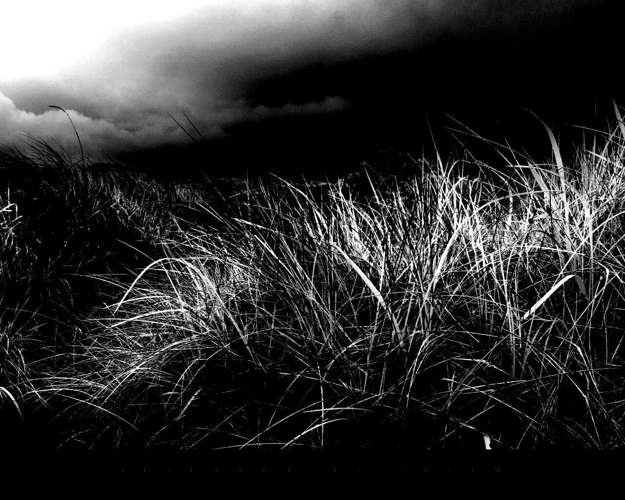 В ожидании шторма обои