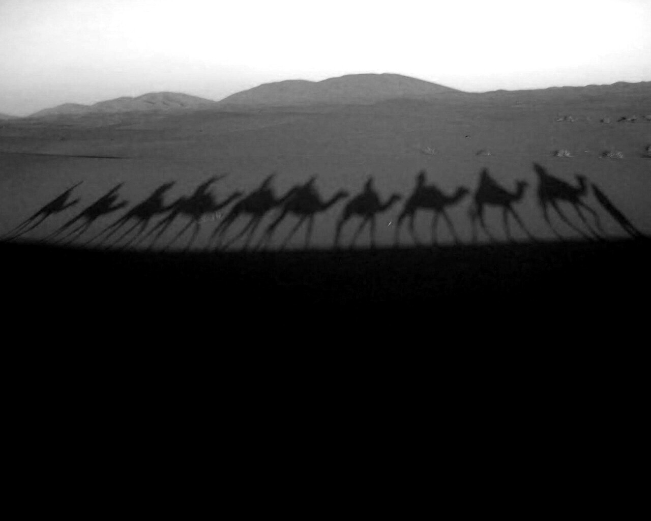 Караван обои