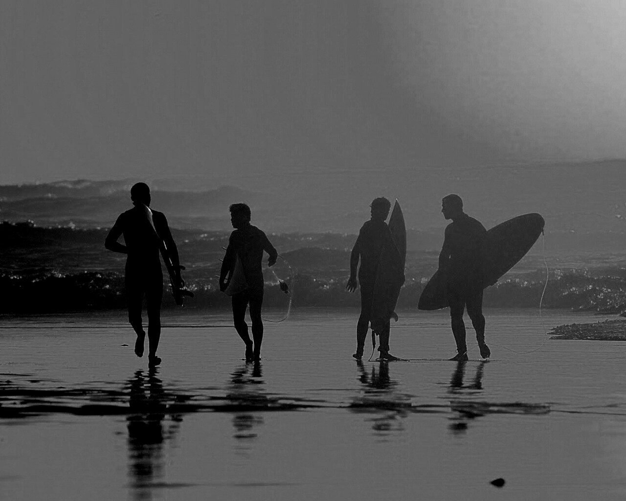 Серфингисты обои