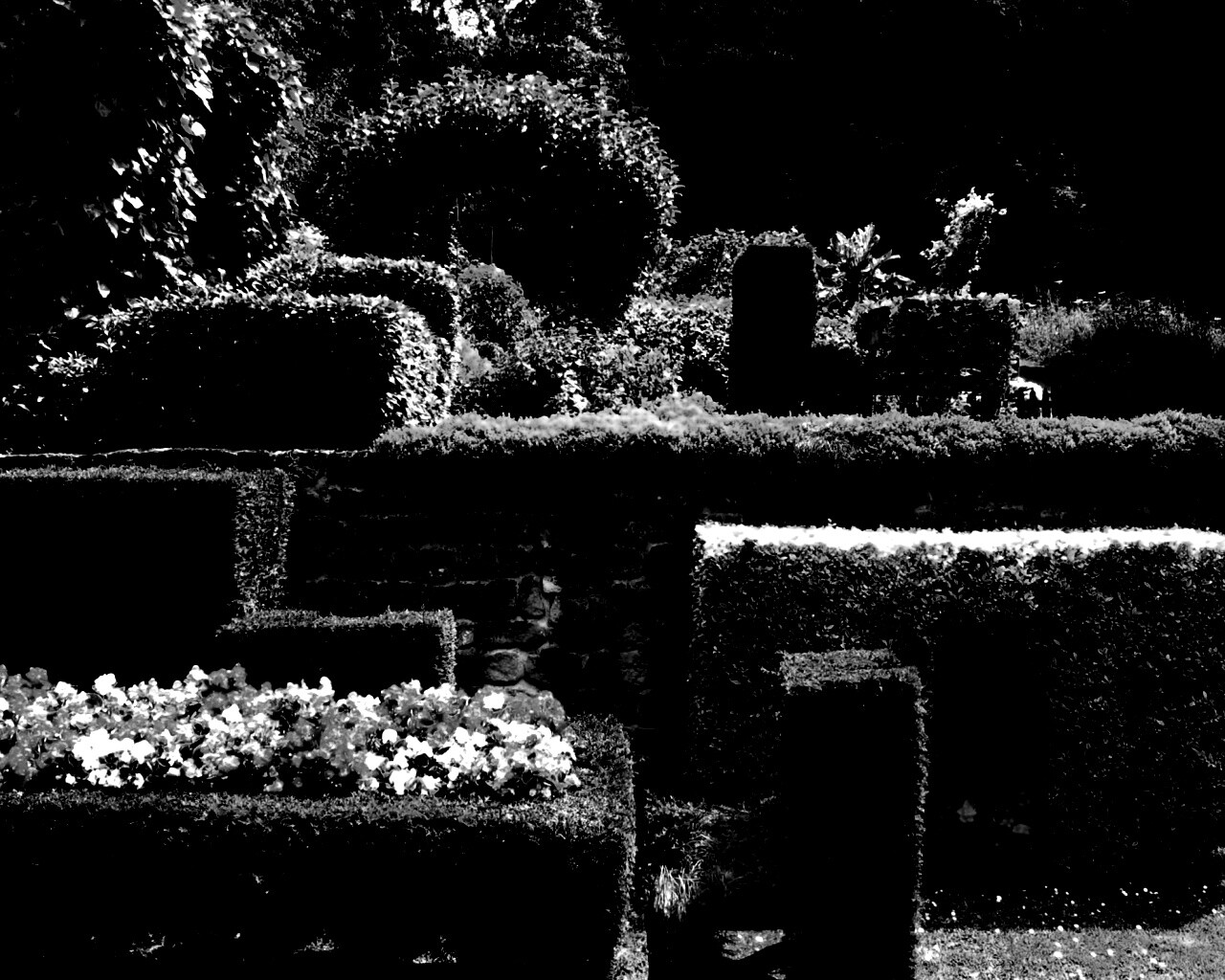 Декоративный сад обои