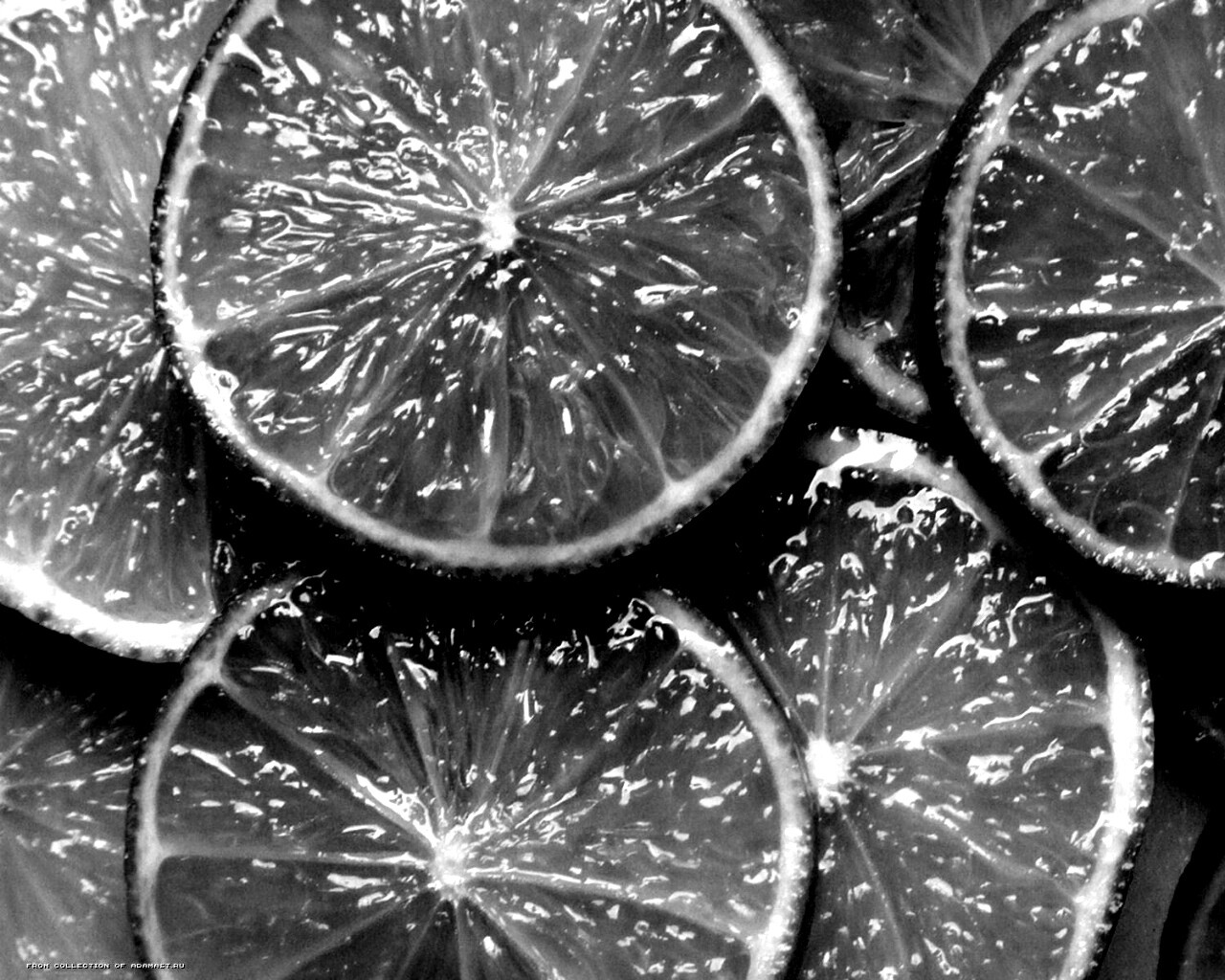 Зеленый лайм обои