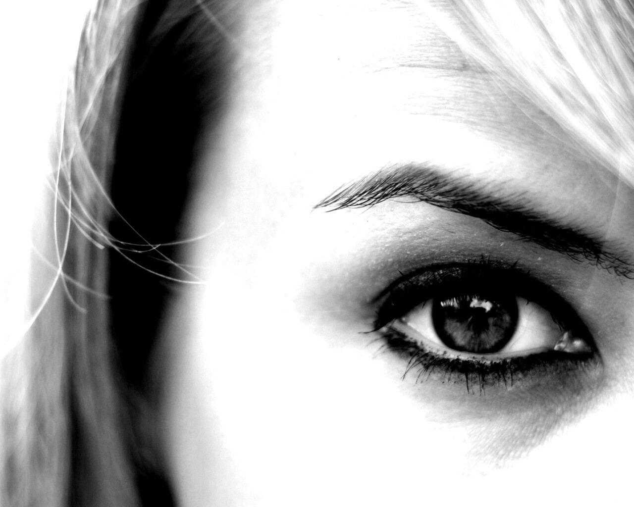 Авторское фото обои