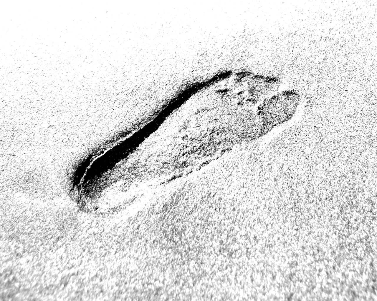 Отпечаток ноги обои