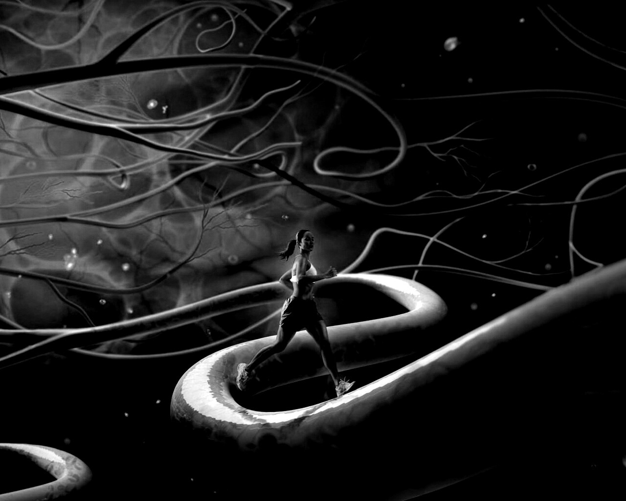 Бег крови обои